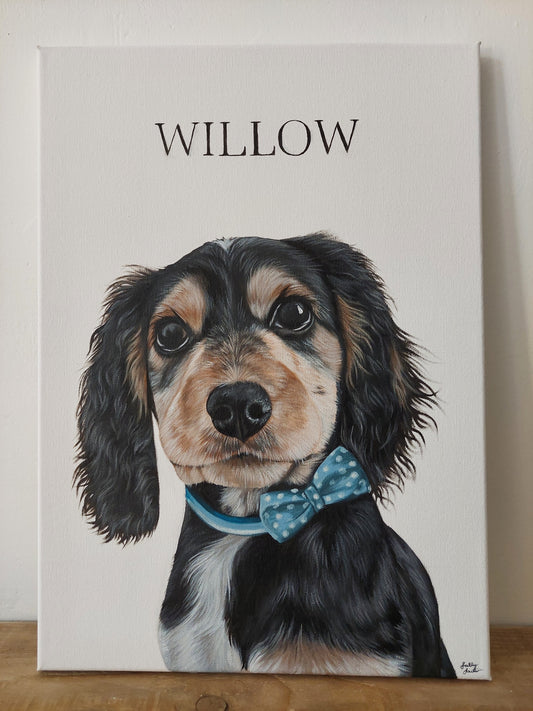 Custom Pet Portrait Small Canvas