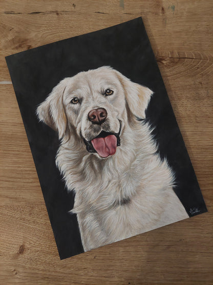 Pet Portrait Canvas Panel