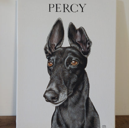 Small Pet Portrait Canvas