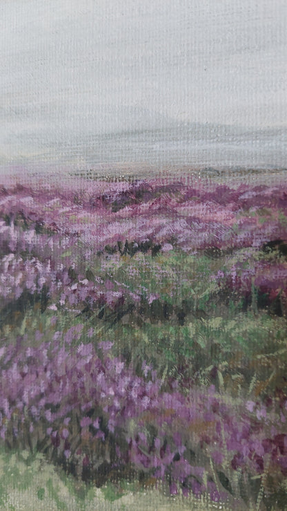 Hazy Heather