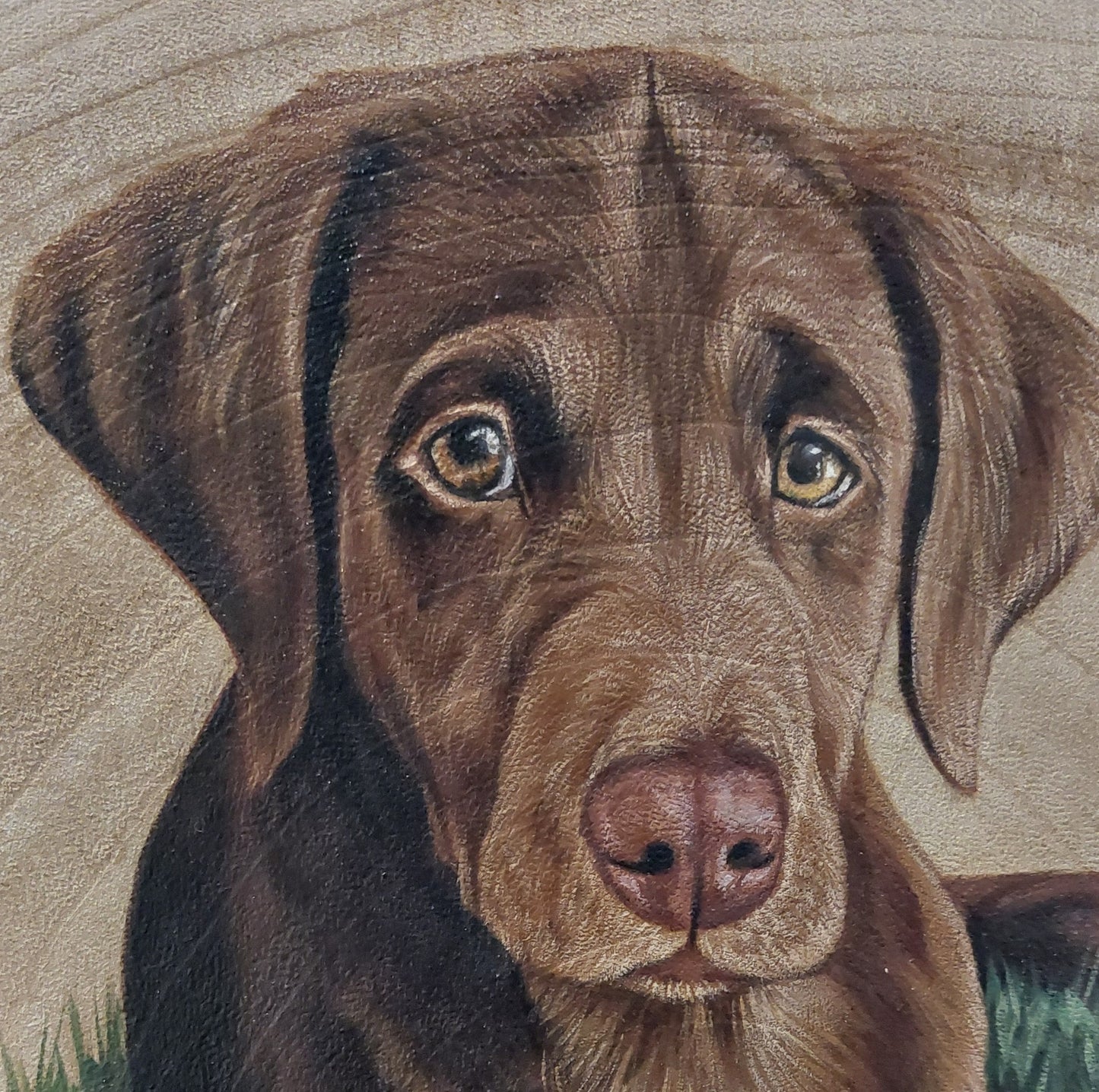 Large Pet Portrait Log Slice