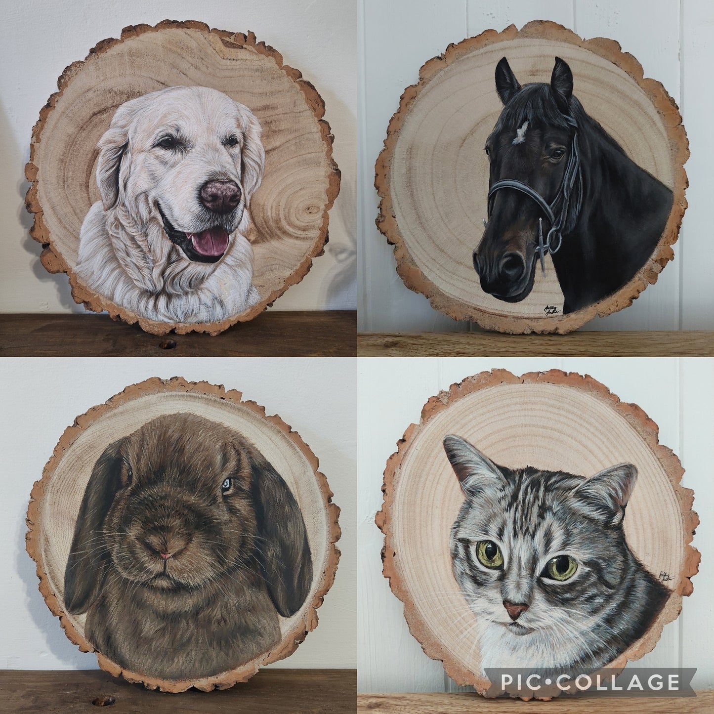 Reserve Your Pet Portrait