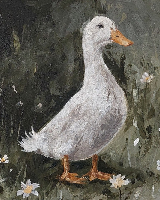 Duck Among Daisies - Print